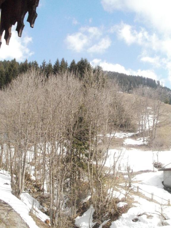 Chambre D'Hote La Petite Bergerie Abondance Exteriér fotografie